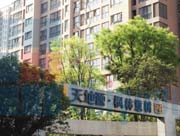西安楓林意樹